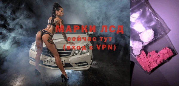 ешки Аркадак
