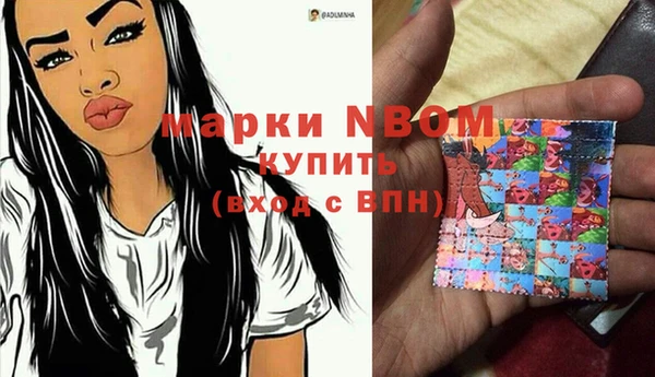 ешки Аркадак