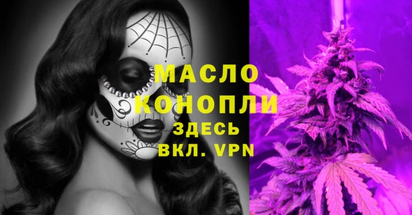 ешки Аркадак