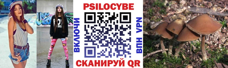 Псилоцибиновые грибы Cubensis  цена   Пушкино 